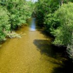 Unten bei der Mühle ist die Wutach friedlich Unten bei der Mühle ist die Wutach friedlich