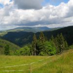 Der Schauinsland trägt seinen Namen nicht ganz zu Unrecht Der Schauinsland trägt seinen Namen nicht ganz zu Unrecht