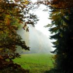 Unten wars noch neblig