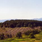 Ein westlicher Nebenhügel