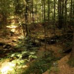 Herrliches Lichtspiel an der Sagwasserbrücke