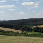 Panorama Richtung Pfreimdtal