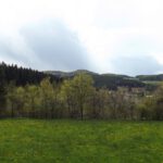 Fürnried vor einigen Hügeln von der letztjährigen Runde