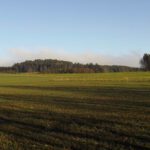 In Böhmen stören uns die Wolken heute nicht