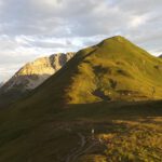 Trittwangkopf in der Morgensonne