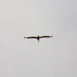 Heute ohne Kind unterwegs