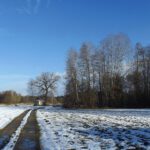 The road to not hell, but the ponds