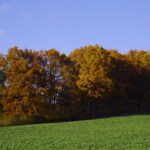 Herbstfarben