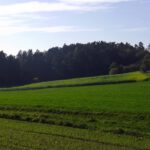 Auf dem Weg zur Kemnathermühle