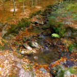 Bäche gibt es hier an jeder Ecke