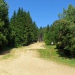 Skipiste, im Sommer Auslaufzone für Downhill-Biker Skipiste, im Sommer Auslaufzone für Downhill-Biker