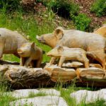 Diese glückliche Wildschweinfamilie wird garantiert nicht gejagt