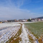 Am Anfang folgte ich der normalen Gassirunde Am Anfang folgte ich der normalen Gassirunde