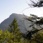 Ristfeuchthorn in der Morgensonne