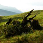 Kaum aus dem Wald, standen wir in der Sonne