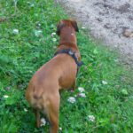 Wo gehen wir denn hin?