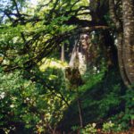 Interessantes am Wegesrand