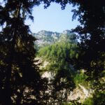 Durch ein Loch in den Baumkronen schaut der Eisberg