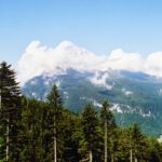 Der König verhüllt sein Haupt