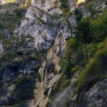 Licht- und Farbspiele