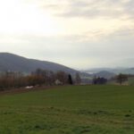 Morgenstimmung zwischen Dieberg und Hohem Bogen