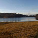 Der Pfad vom Parkplatz zum Ufer