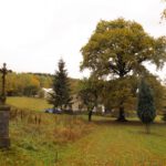 Vielfalt im Vorgarten