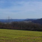 Optimales Spaziergehwetter