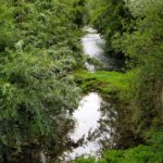 Die Lauterach in Schmidmühlen