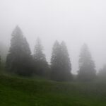 Start in der Wolke Start in der Wolke