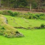 Überreste eines Bauernhofs?