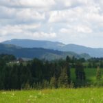 Das Wetter war bestenfalls mittelprächtig Das Wetter war bestenfalls mittelprächtig