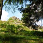 Durch die Bäume erkennt man bereits den Hochfels, eines der 100 schönsten Geotope Bayerns