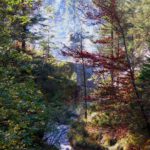 Am Schluchteingang fällt der Weißbach über eine Staustufe