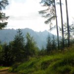 Anfangs geht es durch den Wald