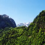 Weiter oben liegt noch jede Menge Schnee Weiter oben liegt noch jede Menge Schnee