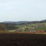 Steinlohe mit dem Reichenstein im Hintergrund