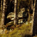 Wir sind im Oberpfälzer Wald, also gibt es Felsformationen