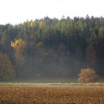 Kleiner Bodennebelrest am Egelseerwiesenbach