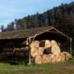 Die Heuernte ist eingefahren und verräumt