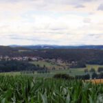 Neuhaus vor dem Oberpfälzer Wald