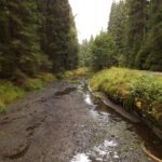 Schlammiger Abschnitt