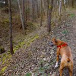 Juratypisch ausgetrockneter Bachlauf