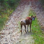 Schickst Du dieses Bild dann wieder an Ex-Frauchen?!? Schickst Du dieses Bild dann wieder an Ex-Frauchen?!?