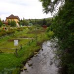Bisonkoppel beim Botanischen Garten Prášily