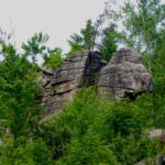 Was macht dieses Kamel hier im Steinwald?!?