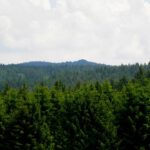 Auf dem Buckel hinten in der Mitte war ich letztes Jahr