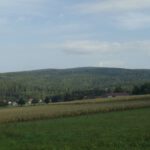 Oberrehberg vor dem Schellenberg