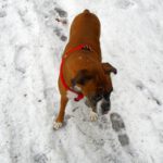 Auf jeden Fall interessanter als Frauchens Kamera