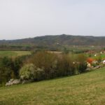 Weißenhofer Hänge auf der anderen Regenseite